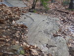 Glaciated pavement with grooves. by Henry N. Berry IV
