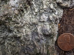 Sillimanite schist, Megunticook Formation