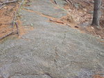 Weathered schist outcrop surface, Bald Mountain, Camden