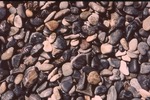 Pebbles - Lower Slope by Henry N. Berry IV