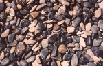Beach pebbles by Henry N. Berry IV