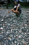 Jasper Beach disc and spherical stones