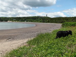 Jasper Beach view to bluff source by Joseph Kelley