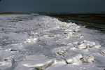 ice on tidal flat and beach in Lubec by Joseph Kelley