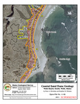 Coastal sand dune geology: Wells Beach, South, Wells, Maine