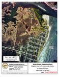 Beach and Dune Geology Aerial Photo: Higgins Beach, Scarborough by Stephen M. Dickson