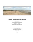 State of Maine's beaches in 2009 by Peter A. Slovinsky and Stephen M. Dickson