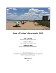 State of Maine's Beaches in 2015 by Peter A. Slovinsky, Stephen M. Dickson, and Cameron D. Adams