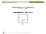 Beach Pebbles Tell a Story
