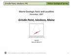 Grindle Point, Islesboro, Maine by Henry N. Berry IV