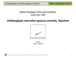 Ichthyoglypts and Other Igneous Animals, Topsham by Marc C. Loiselle