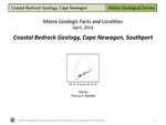 Coastal Bedrock Geology, Cape Newagen, Southport by Thomas K. Weddle