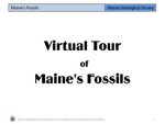 Virtual Tour of Maine's Fossils by Maine Geological Survey