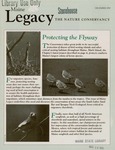 Maine Legacy : December 1990