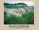 Maine Forever : A Guide to Nature Conservancy Preserves in Maine