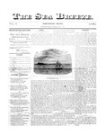 Sea Breeze : 1887 Midwinter Edition