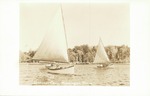 Sailing on Washington Pond by Herbert E. Glasier & Sons, Boston MA
